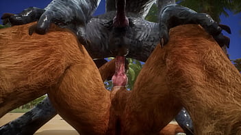Play Lion has sex with cum covered wolf – wildlife