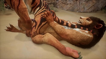 Play Tiger and lion find a near by cave and make love – wildlife